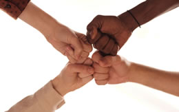 Not-for-profit organisations working environment